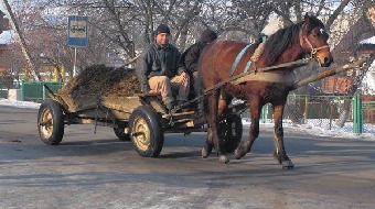 Поезд сбил гужевую повозку в Витебской области