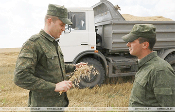 В Могилевской области на уборку зерна вывели военных