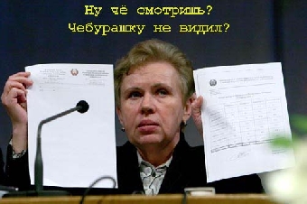 Центризбиркому известно только о трех серьезных нарушениях во время выборов 19 декабря - Ермошина