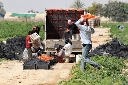 Израиль разрешил транзит продуктов из Газы на Западный берег