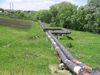 Около 70 куб.м нефти вылилось из трубопровода Мозырь-Брест в Каменецком районе