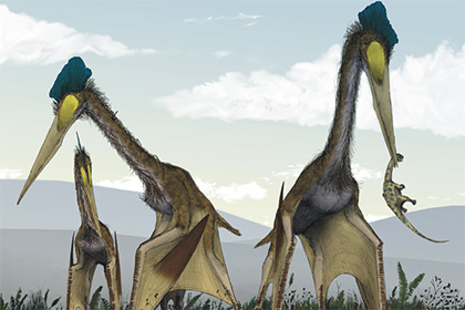 Российский палеонтолог изучил крупнейших летающих ящеров