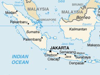 В Индонезии при пожаре на пароме погибли одиннадцать человек