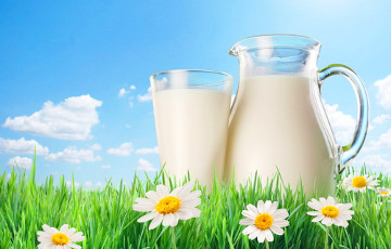 Цены на молоко могут резко подскочить