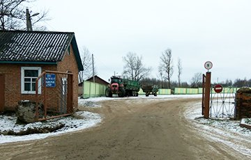 Белорусская история: Поднял колхоз, но посадили и колхоз упал
