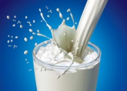 Социальное молоко исчезло и в Гродно