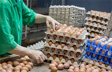 Маразм лукашистов: работникам птицефабрики запретили «ссобойки» под угрозой увольнения