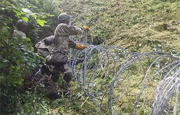 Фотофакт: Литовские военные устанавливают забор на границе с Беларусью
