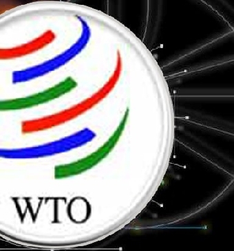 Вступление одной из стран Таможенного союза в ВТО раньше других не повлияет на остальных членов ТС - Путин