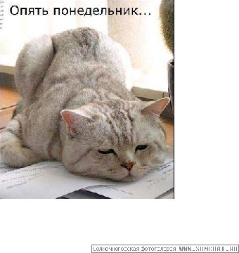 Результат "позднего" визита – новые вопросы