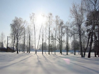 Ночные морозы возвращаются в Беларусь