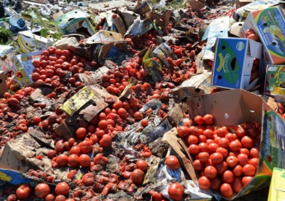На Смоленщине уничтожили более 50 тонн продуктов, ввезенных из Беларуси