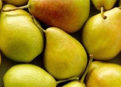 Россельхознадзор вернул Беларуси 19 тонн бельгийских груш