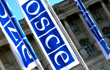 Немецкий политик: Россия угрожает безопасности и стабильности в зоне стран-членов ОБСЕ