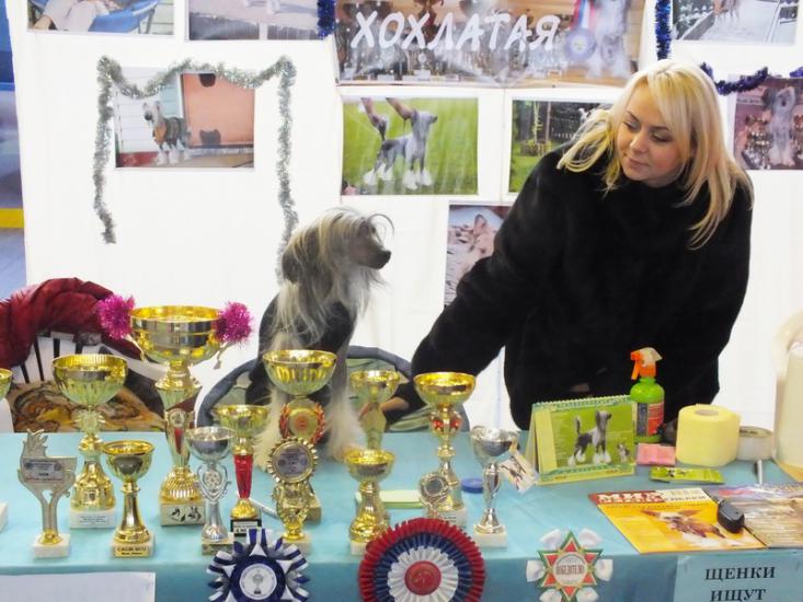 На выставке в Минске показали уникальных собак