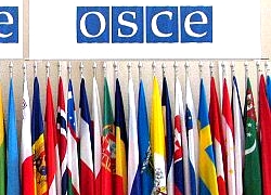 Наблюдателям ПА ОБСЕ отказали в белорусских визах