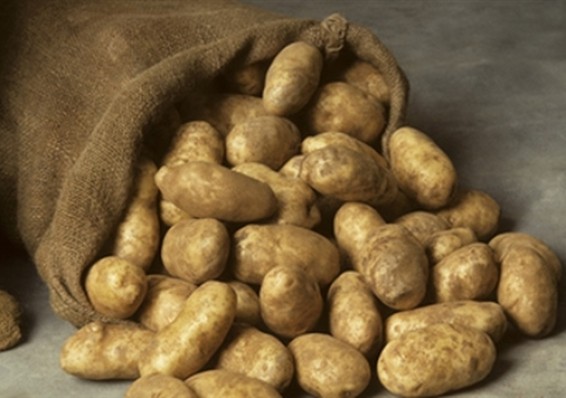 Минсельхозпрод – Россельхознадзору: Беларусь не занимается реэкспортом картофеля