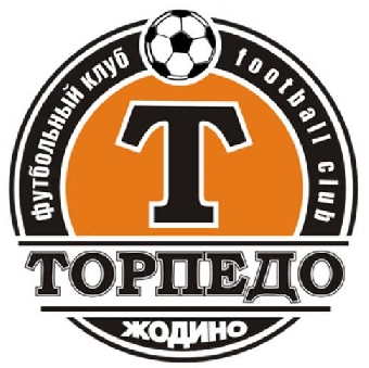 Известный российский футболист Вадим Евсеев будет играть в жодинском "Торпедо"