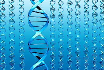 Психическое состояние исполнителя теракта изучают специалисты