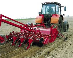 Сельское хозяйство Беларуси в 2013 году замедлилось
