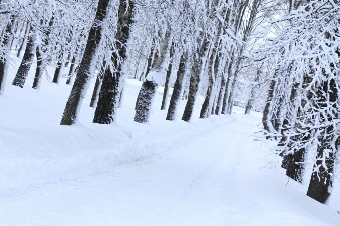 В конце недели похолодает