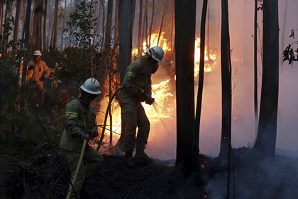 От лесных пожаров в Португалии погибли 43 человека