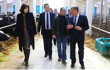 Кочанова, Заяц и Русый снова посетили ферму, которая шокировала Лукашенко