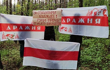 Партизаны свободной Дражни и Шариков вышли на акции протеста