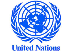 Совбез ООН обсудит формат присутствия в Сирии