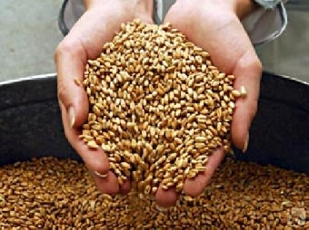 Беларусь к 2015 году планирует довести экспорт биотехнологической продукции до $200 млн. в год