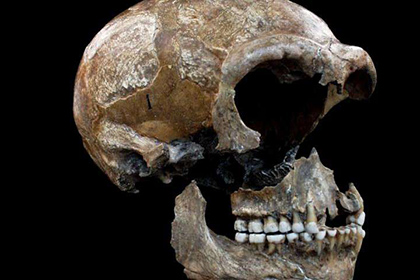 Ученые раскрыли пищевые пристрастия неандертальцев