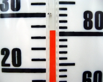 Температура воды в водоемах Беларуси прогрелась до 25 градусов