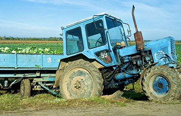 В Беларуси не хватает трактористов и доярок