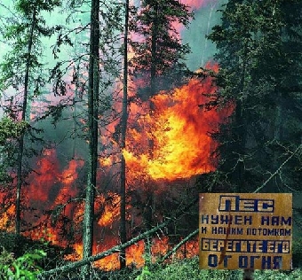 Журналисты из стран СНГ изучают опыт Минлесхоза Беларуси по борьбе с лесными пожарами