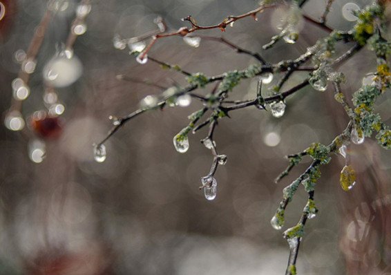 Мокрый снег и до 17 тепла – синоптики о погоде в Беларуси на выходные