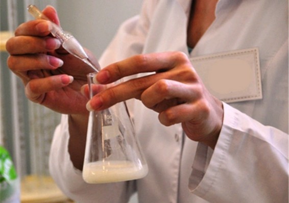 Россельхознадзор объявил об усилении контроля за белорусским молоком и мясом