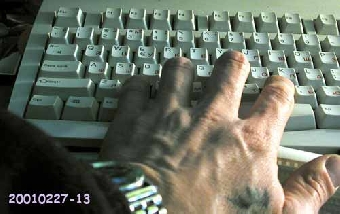 В Беларуси в I полугодии зарегистрировано 51 общественное объединение