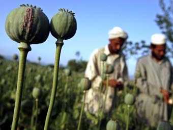 В Афганистане изъята крупнейшая в истории партия наркотиков