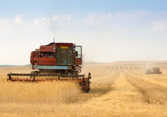 Лукашенко не против продать сельхозпредприятия частникам