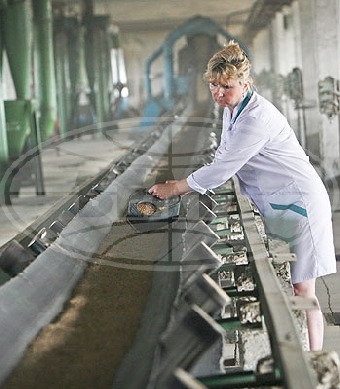 Первые 55,3 тыс.т зерна нового урожая поступили в счет госзаказа