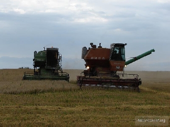 Для своевременной и качественной уборки зерновых в Беларуси созданы необходимые условия - Мясникович