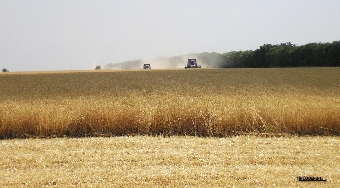 Хозяйства Беларуси преодолели трехмиллионный рубеж по намолоту зерна