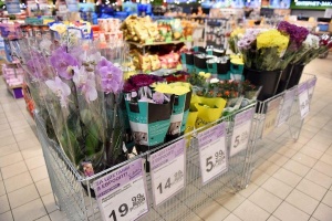 В «Евроопте» ко Дню Матери снизили цены на цветы
