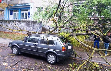 «Деревья ломались, как спички»: циклон Фабьен прошелся по Брестчине