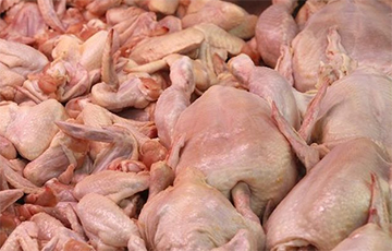 Куриное мясо в Беларуси подорожало на 10%