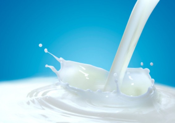 Россельхознадзор назвал преждевременным заявление Минска о снятии ограничений на поставки молока