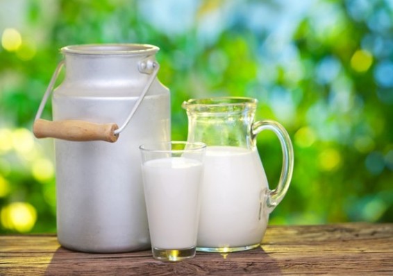 Беларусь планирует получить в 2019 году 7,27 миллионов тонн молока