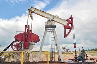 Более 10 месторождений нефти может быть открыто в южных регионах Беларуси