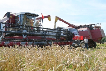 Хлеборобы Витебской области преодолели рубеж по намолоту 1 млн. т зерна нового урожая