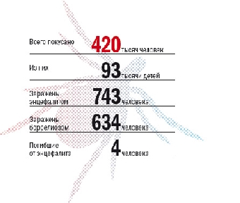 Теплая и влажная погода в Беларуси спровоцировала активность клещей